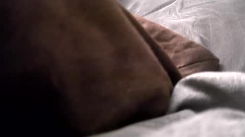 Get US to 1000 you wont be disapointed online show from December 16, 2024, 4:13 am