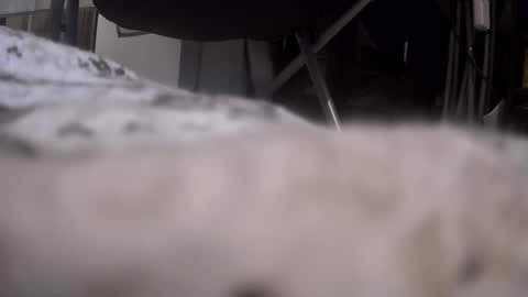 Get US to 1000 you wont be disapointed online show from January 17, 2026, 12:15 am