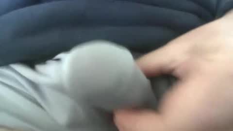 gr8head online show from April 7, 2026, 3:01 pm