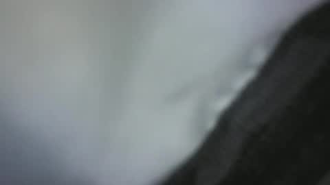 Green Robin Hood online show from December 2, 2024, 4:42 pm