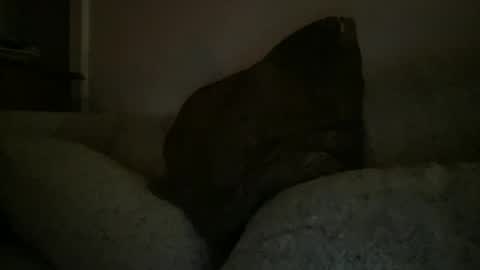 Snapshot of greenlova chatting on December 25, 2024, 2:35 am Sonny online show from December 25, 2024, 2:35 am