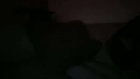 Snapshot of greenlova chatting on March 7, 2025, 6:35 am Sonny online show from March 7, 2025, 6:35 am