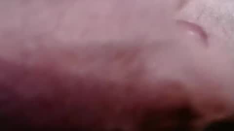 Greg online show from February 21, 2026, 8:43 pm