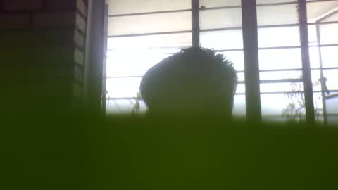 Snapshot of grey_stud chatting on February 24, 2025, 5:22 am Grey Stud online show from February 24, 2025, 5:22 am