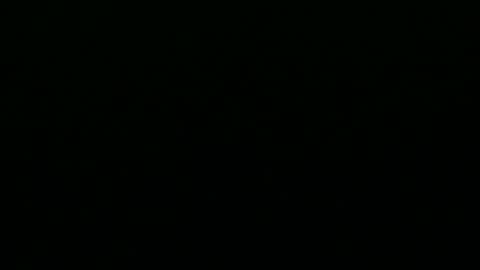 Snapshot of greyfox_6000 chatting on February 25, 2025, 4:21 pm greyfox_6000 online show from February 25, 2025, 4:21 pm