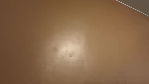 Snapshot of greyvan96 chatting on February 4, 2026, 10:21 am Perfectlyaveragesavage online show from February 4, 2026, 10:21 am