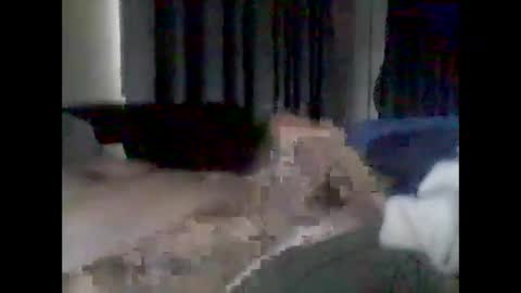 grittslappa online show from February 17, 2026, 1:24 am