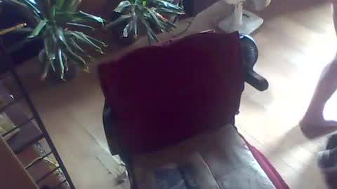 Guido online show from July 26, 2026, 10:55 am