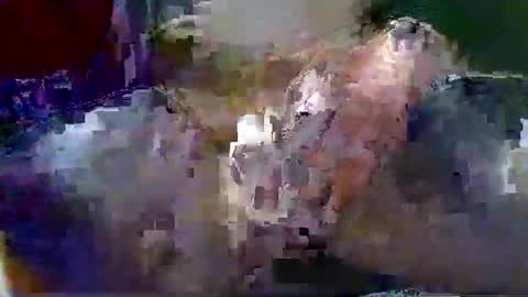 Gary online show from January 18, 2026, 1:42 am