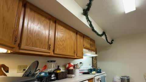 gucciboi4 online show from November 23, 2025, 7:35 pm