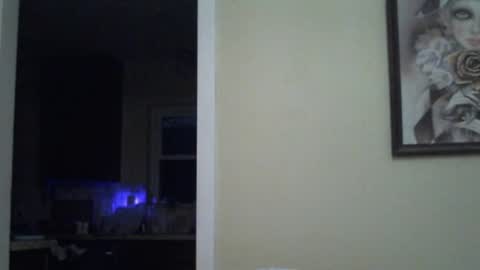 Snapshot of gulfcoast1952 chatting on January 3, 2025, 12:52 pm Roy online show from January 3, 2025, 12:52 pm