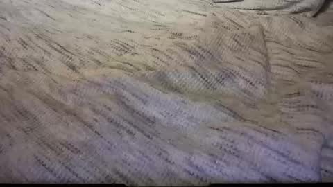 gumbywanna online show from February 8, 2025, 5:08 am