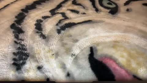 gumbywanna online show from March 2, 2026, 6:58 am