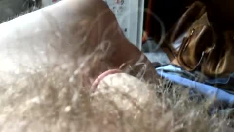 guttersnipe71 online show from November 15, 2025, 2:13 pm