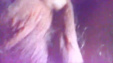 hagridthehorrible online show from December 5, 2025, 11:30 am