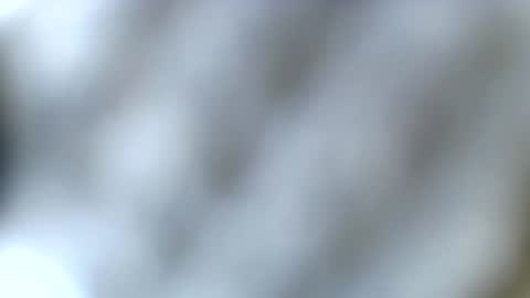 tatted blonde online show from December 23, 2025, 3:59 am