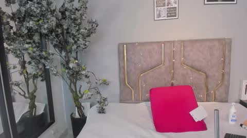 Snapshot of haileystonei chatting on November 21, 2025, 11:31 am haileystonei online show from November 21, 2025, 11:31 am