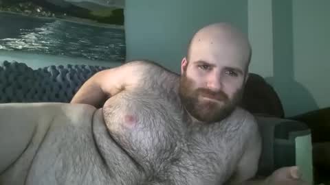 Snapshot of hairiestbear chatting on January 14, 2025, 3:47 pm Hairiest Bear online show from January 14, 2025, 3:47 pm