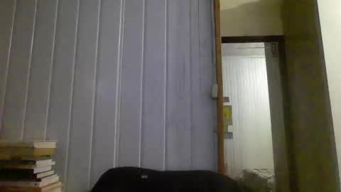 Snapshot of hairy_man_69_ chatting on January 3, 2025, 10:40 pm horny online show from January 3, 2025, 10:40 pm