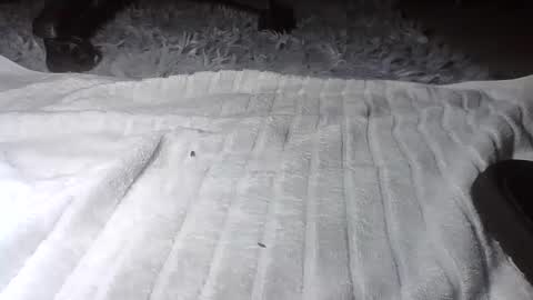 Hairy Daddy Feet online show from November 21, 2025, 12:26 pm