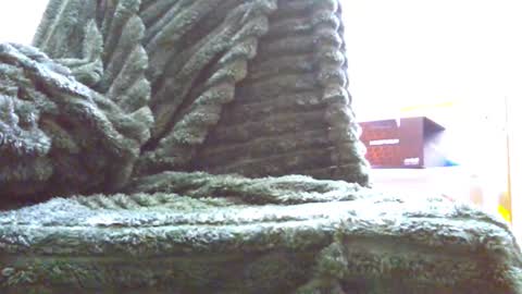 HairyHornyTwinkk online show from November 14, 2025, 10:36 am