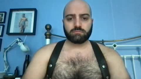Hairy Guy online show from February 12, 2025, 12:01 pm