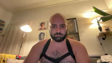 Hairy Guy online show from February 16, 2026, 9:44 pm
