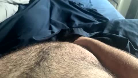 Snapshot of hairynicedaddy chatting on May 5, 2026, 3:53 pm hairynicedaddy online show from May 5, 2026, 3:53 pm