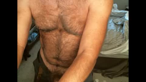 Hairy pecs online show from September 12, 2025, 11:15 pm