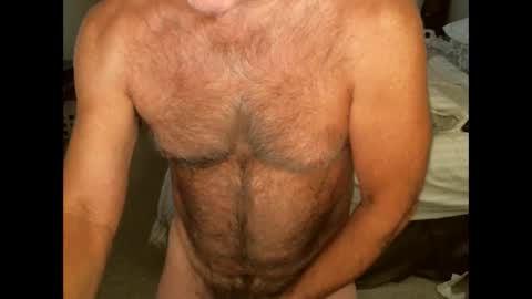 Hairy pecs online show from October 2, 2025, 6:31 am