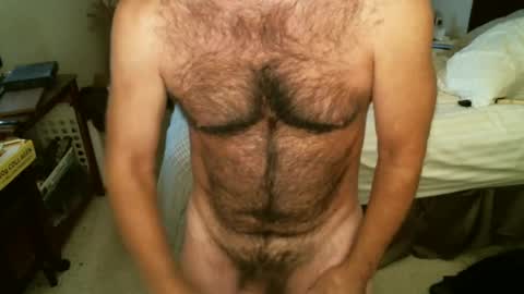 Hairy pecs online show from October 14, 2025, 4:57 am