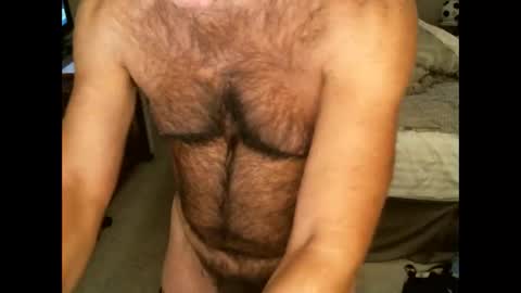 Hairy pecs online show from November 23, 2025, 9:09 am