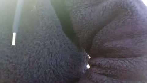 Snapshot of hairypussyxl chatting on January 13, 2025, 5:33 am hairypussyxl online show from January 13, 2025, 5:33 am