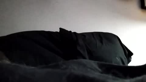 Snapshot of hairyspermballs chatting on February 3, 2026, 12:53 am Marty online show from February 3, 2026, 12:53 am