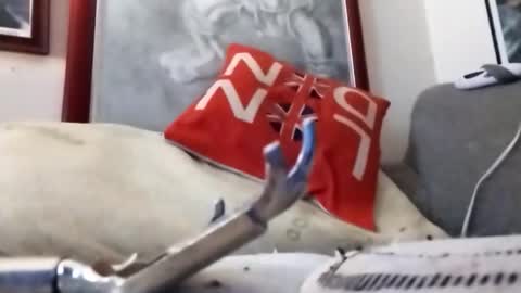 Snapshot of hairyspermballs chatting on February 22, 2026, 9:24 pm Marty online show from February 22, 2026, 9:24 pm