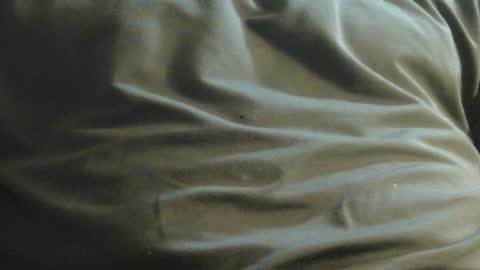 Snapshot of hamhead71 chatting on December 8, 2024, 10:03 pm hamhead71 online show from December 8, 2024, 10:03 pm