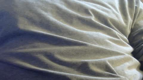 Snapshot of hamhead71 chatting on January 12, 2025, 3:17 am hamhead71 online show from January 12, 2025, 3:17 am