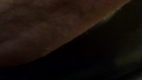 Snapshot of hamhead71 chatting on January 14, 2025, 8:59 pm hamhead71 online show from January 14, 2025, 8:59 pm