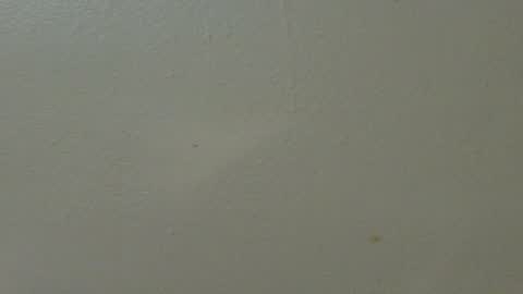 Snapshot of hamhead71 chatting on February 7, 2025, 1:36 am hamhead71 online show from February 7, 2025, 1:36 am