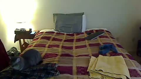 hammerthatthang73 online show from March 24, 2026, 11:10 pm