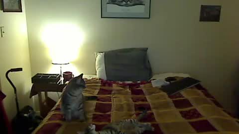 hammerthatthang73 online show from March 30, 2026, 9:43 am