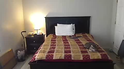 hammerthatthang73 online show from April 12, 2026, 9:42 pm