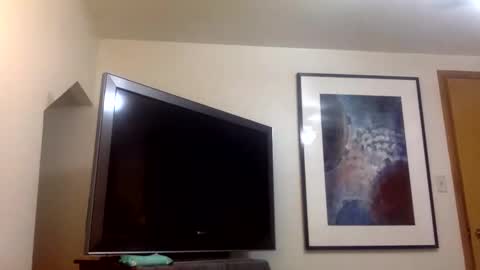 handsome01_ online show from December 23, 2025, 5:05 am