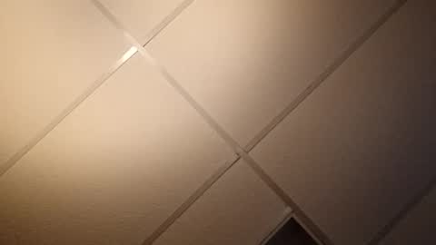 handycocky1 online show from November 23, 2025, 12:38 pm