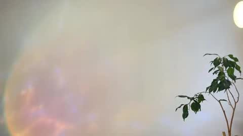 Snapshot of hannah_levis_ chatting on February 25, 2026, 8:02 am hannah levis online show from February 25, 2026, 8:02 am