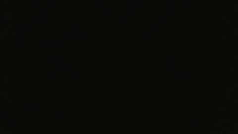 hapbit online show from February 26, 2025, 12:58 pm