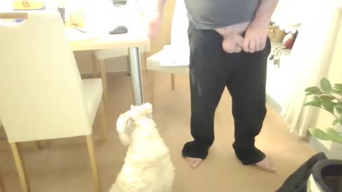 Snapshot of harald1234 chatting on February 21, 2026, 1:56 pm harald1234 online show from February 21, 2026, 1:56 pm