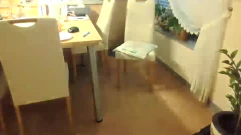 harald1234 online show from July 26, 2026, 1:18 pm