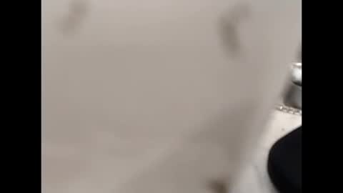 hardandhorny422 online show from October 12, 2025, 12:59 pm