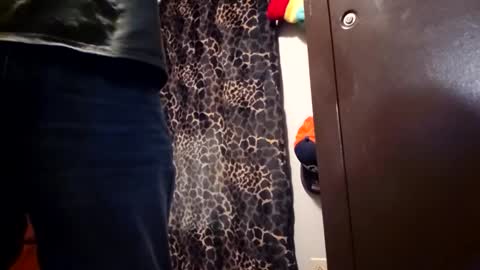 Funsize online show from February 8, 2026, 2:59 am